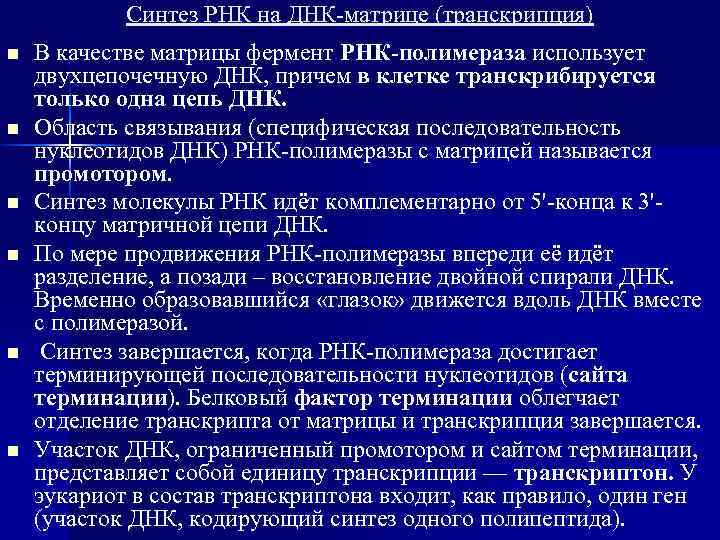 Синтез РНК на ДНК-матрице (транскрипция) n n n В качестве матрицы фермент РНК-полимераза использует