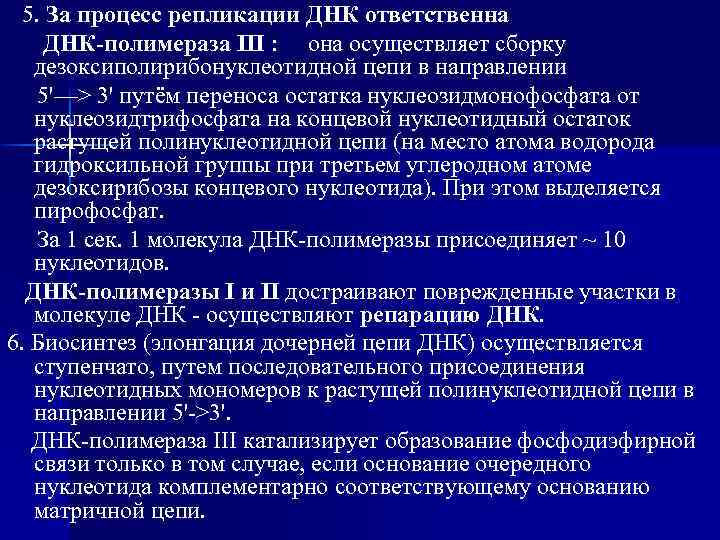 5. За процесс репликации ДНК ответственна ДНК-полимераза III : она осуществляет сборку дезоксиполирибонуклеотидной цепи
