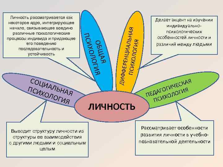 Схема изучения личности включает в себя