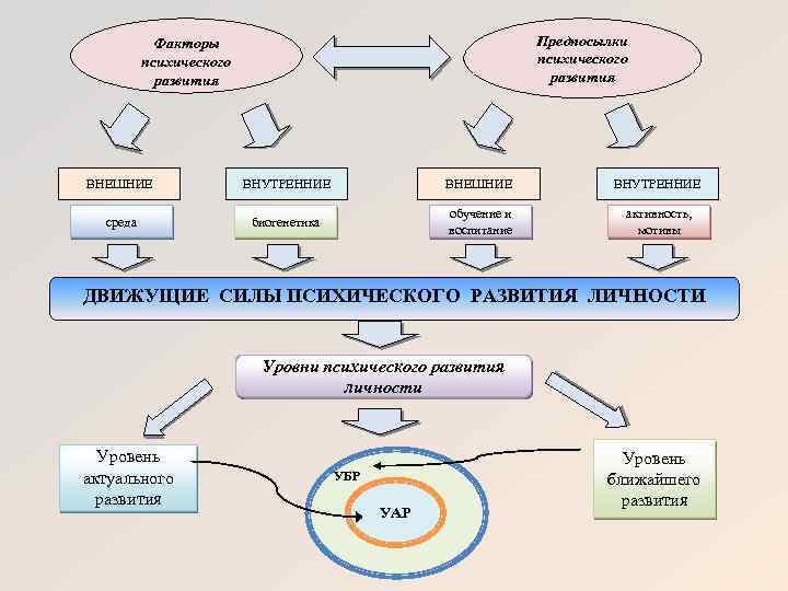 Факторы развития личности схема