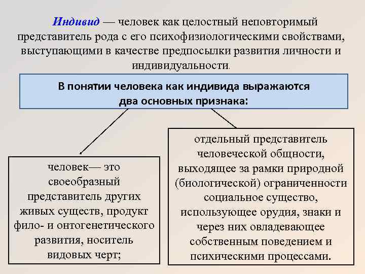 Индивидные свойства человека схема