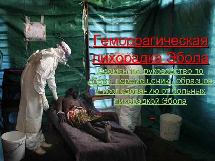 Геморрагическая лихорадка Эбола Временное руководство по сбору, перемещению, образцов и исследованию от больных лихорадкой