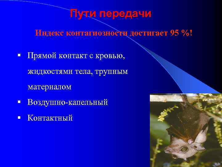 Пути передачи Индекс контагиозности достигает 95 %! § Прямой контакт с кровью, жидкостями тела,