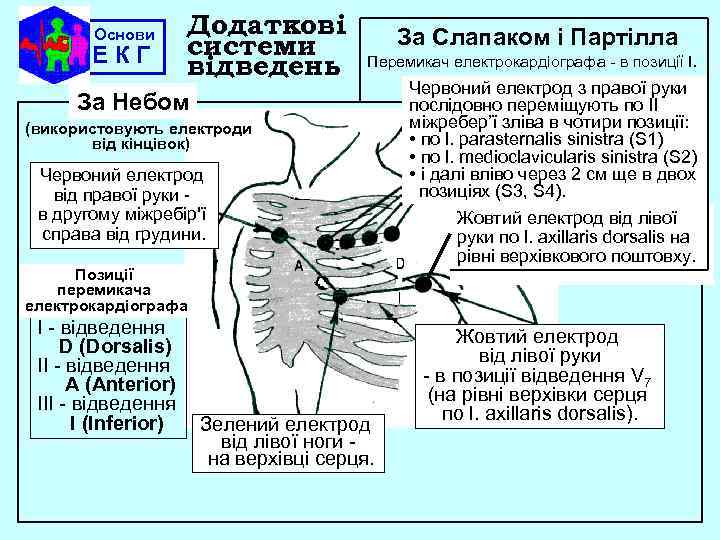 Основи ЕКГ Додаткові системи відведень За Слапаком i Партiлла Перемикач електрокардiографа - в позицiї