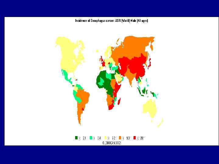 Частота встречаемости 