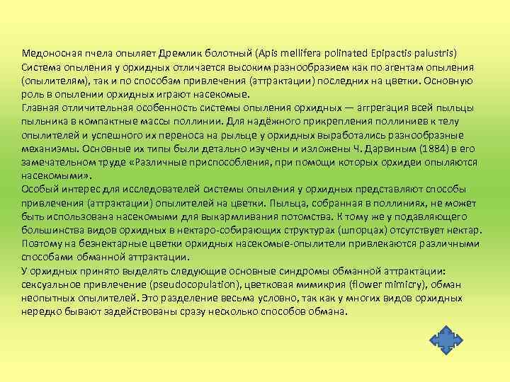 Медоносная пчела опыляет Дремлик болотный (Apis mellifera polinated Epipactis palustris) Система опыления у орхидных