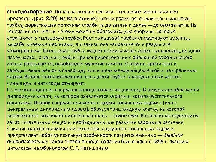 Оплодотворение. Попав на рыльце пестика, пыльцевое зерно начинает прорастать (рис. 8. 20). Из Beгетативной