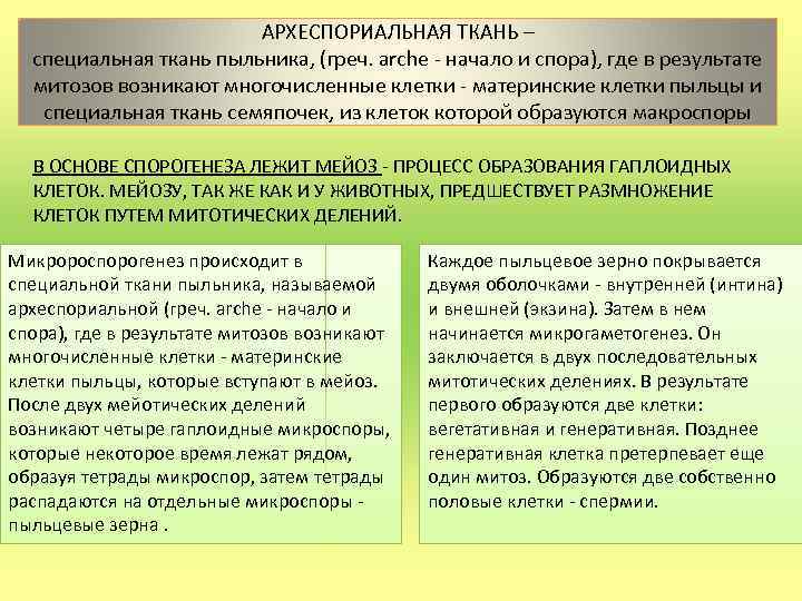 АРХЕСПОРИАЛЬНАЯ ТКАНЬ – специальная ткань пыльника, (греч. arche - начало и спора), где в