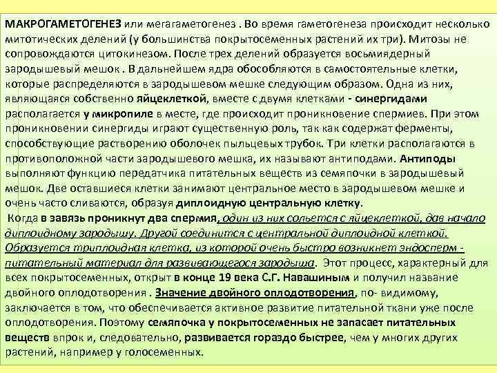 МАКРОГАМЕТОГЕНЕЗ или мегагаметогенез. Во время гаметогенеза происходит несколько митотических делений (у большинства покрытосеменных растений