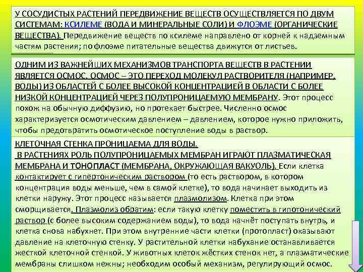 У СОСУДИСТЫХ РАСТЕНИЙ ПЕРЕДВИЖЕНИЕ ВЕЩЕСТВ ОСУЩЕСТВЛЯЕТСЯ ПО ДВУМ СИСТЕМАМ: КСИЛЕМЕ (ВОДА И МИНЕРАЛЬНЫЕ СОЛИ)