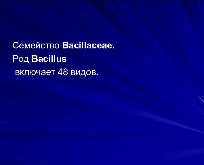 Семейство Bacillаceae. Род Bacillus включает 48 видов. 