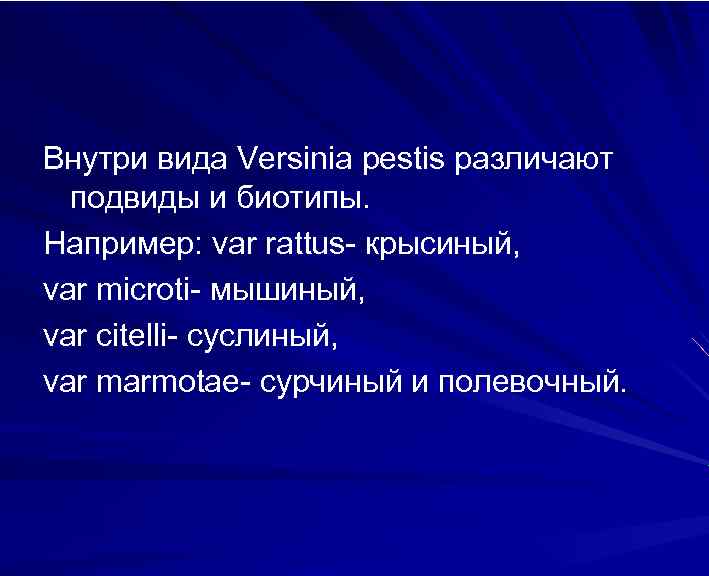 Внутри вида Versinia pestis различают подвиды и биотипы. Например: var rattus- крысиный, var microti-