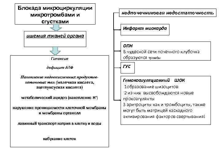  Блокада микроциркуляции  микротромбами и     надпочечниковая недостаточность  