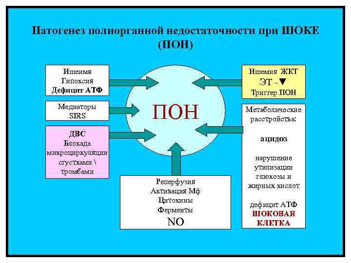 Патогенез полиорганной недостаточности при ШОКЕ     (ПОН)  Ишеимя  