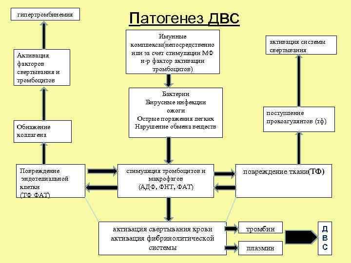 Двс синдром патофизиология презентация