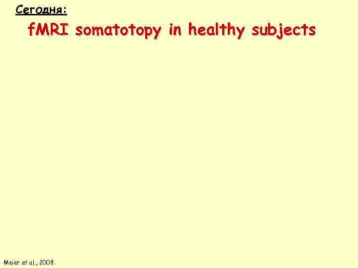   Сегодня:   f. MRI somatotopy in healthy subjects Meier et al.