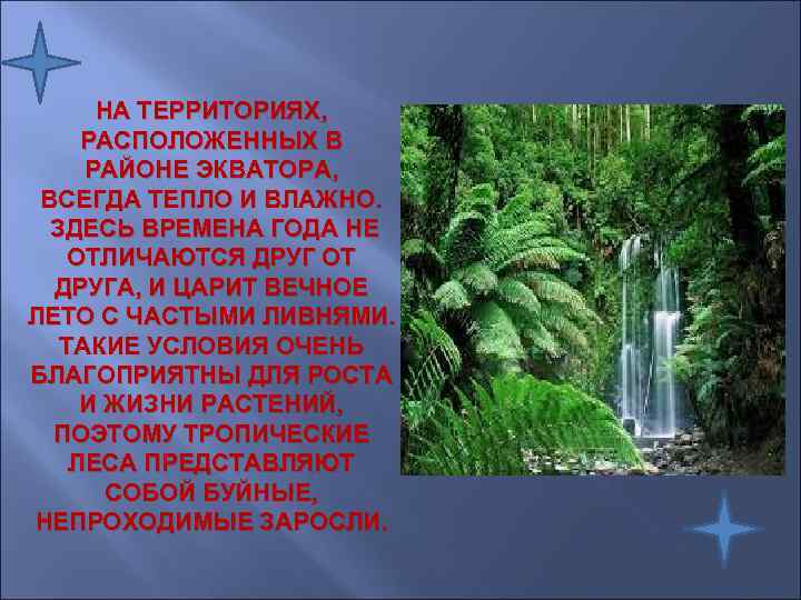  НА ТЕРРИТОРИЯХ,  РАСПОЛОЖЕННЫХ В РАЙОНЕ ЭКВАТОРА,  ВСЕГДА ТЕПЛО И ВЛАЖНО. 