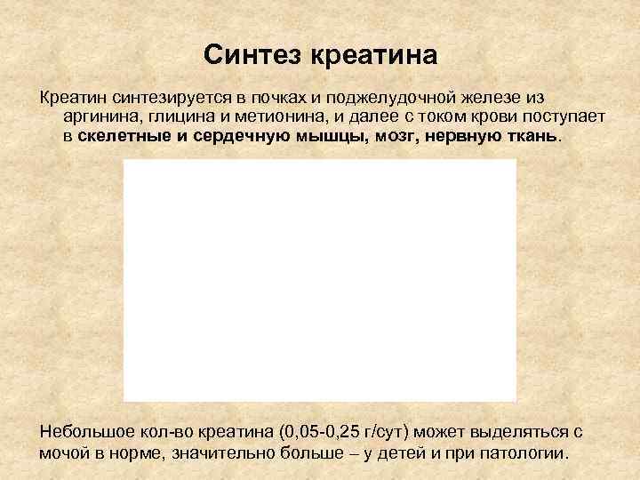    Синтез креатина Креатин синтезируется в почках и поджелудочной железе из 