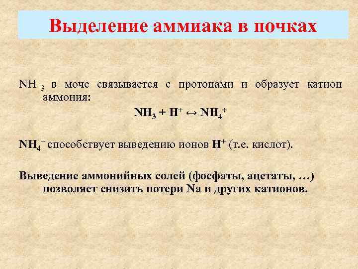 Катион аммония обнаруживают. Выведение аммиака с мочой роль. Экскреция аммиака. Выделение аммиака с мочой. Схема вывода аммиака с мочой.