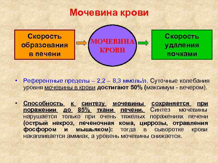    Мочевина крови  Скорость      Скорость образования