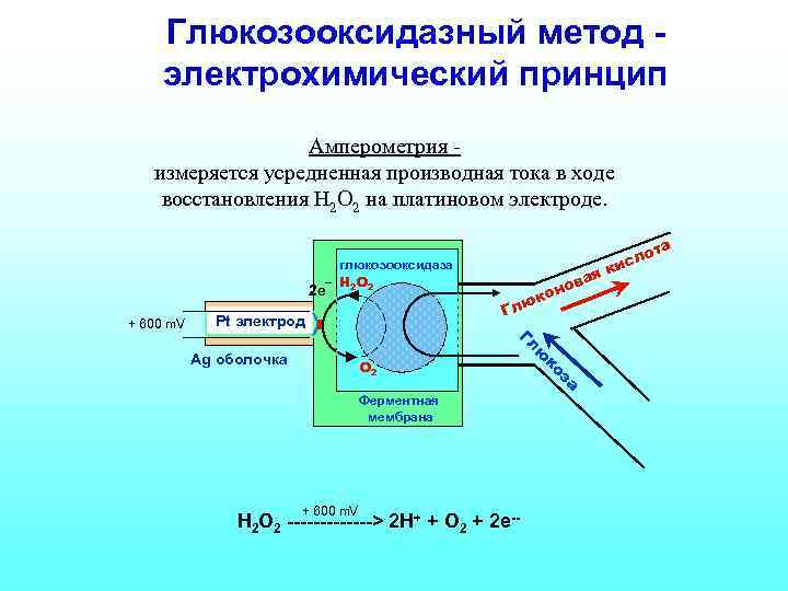 Глюкозооксидазный метод электрохимический принцип Амперометрия измеряется усредненная производная тока в ходе восстановления Н 2