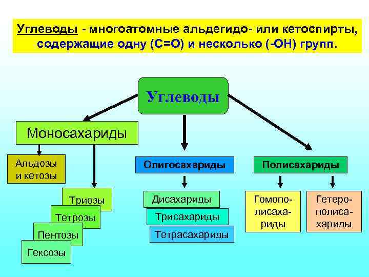 Углеводы - многоатомные альдегидо- или кетоспирты, содержащие одну (С=О) и несколько (-ОН) групп. Углеводы