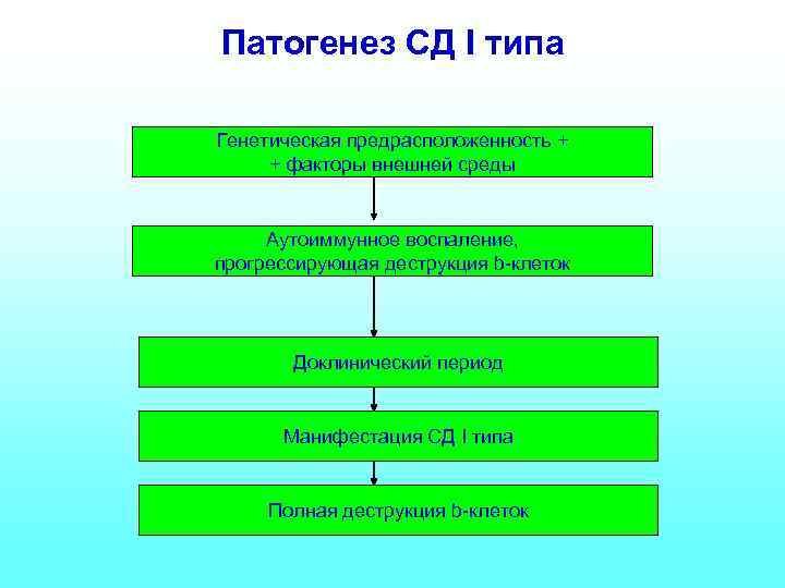 Патогенез СД I типа Генетическая предрасположенность + + факторы внешней среды Аутоиммунное воспаление, прогрессирующая