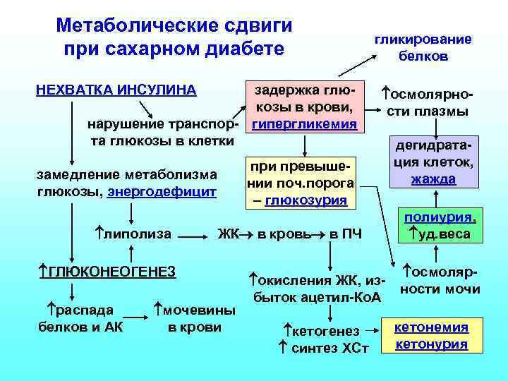 Метаболические сдвиги при сахарном диабете НЕХВАТКА ИНСУЛИНА задержка глюкозы в крови, нарушение транспор- гипергликемия