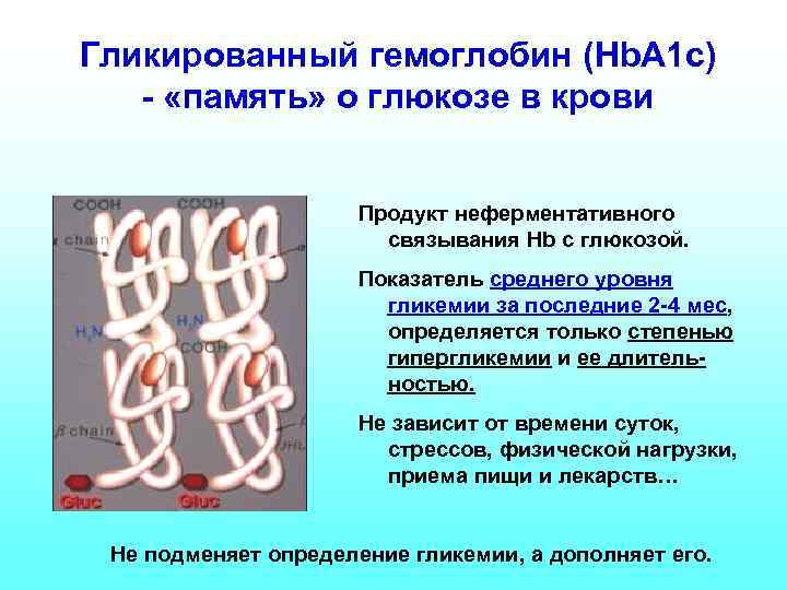 Гликированный гемоглобин (Hb. A 1 c) - «память» о глюкозе в крови Продукт неферментативного