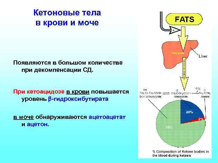 Кетоновые тела в крови и моче Появляются в большом количестве при декомпенсации СД. При