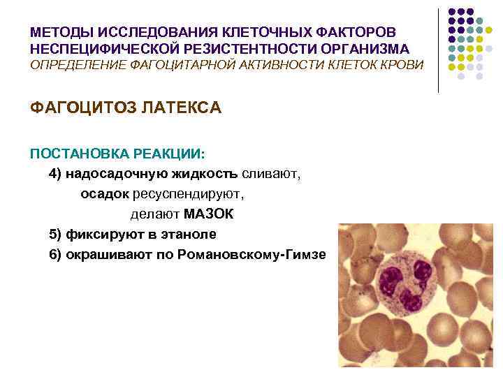 МЕТОДЫ ИССЛЕДОВАНИЯ КЛЕТОЧНЫХ ФАКТОРОВ НЕСПЕЦИФИЧЕСКОЙ РЕЗИСТЕНТНОСТИ ОРГАНИЗМА ОПРЕДЕЛЕНИЕ ФАГОЦИТАРНОЙ АКТИВНОСТИ КЛЕТОК КРОВИ  ФАГОЦИТОЗ