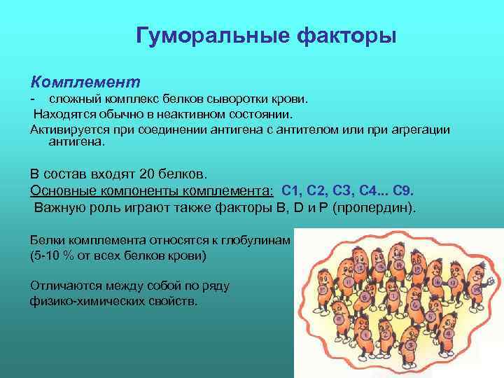 Факторы неспецифической резистентности схема