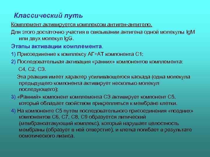  Классический путь Комплемент активируется комплексом антиген антитело. Для этого достаточно участия в связывании