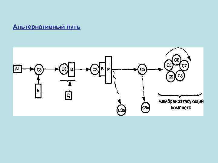 Альтернативный путь 