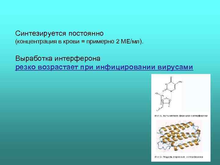 Синтезируется постоянно (концентрация в крови = примерно 2 МЕ/мл).  Выработка интерферона резко возрастает