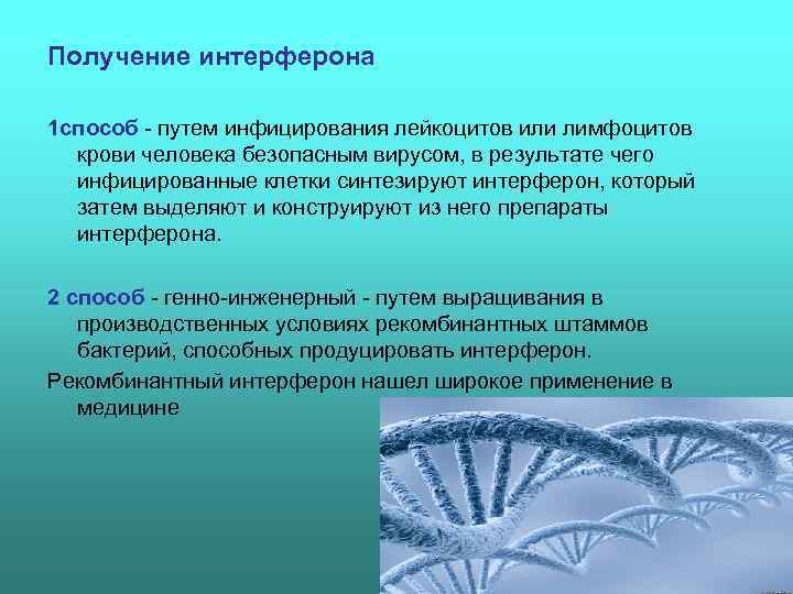 Получение интерферона 1 способ  путем инфицирования лейкоцитов или лимфоцитов  крови человека безопасным