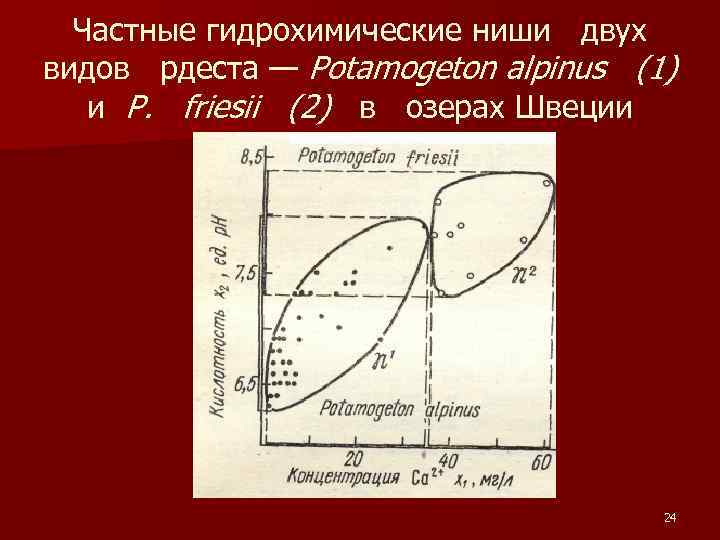 Частные гидрохимические ниши двух видов рдеста — Potamogeton alpinus (1) и P. Частные гидрохимические ниши двух видов рдеста — Potamogeton alpinus (1) и P.