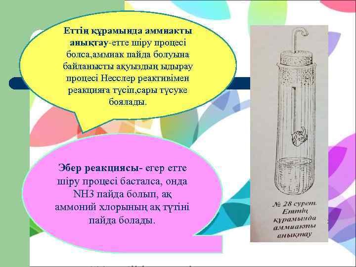  Еттің құрамында аммиакты  анықтау-етте шіру процесі  болса, аммиак пайда болуына байланысты