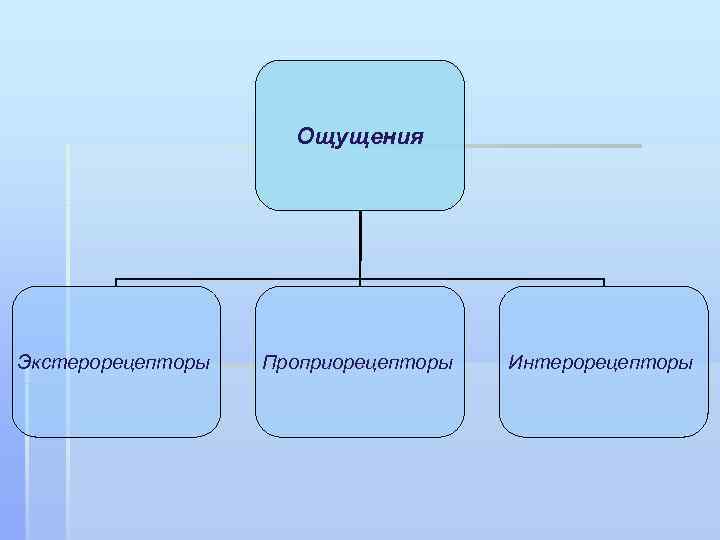      Ощущения Экстерорецепторы  Проприорецепторы  Интерорецепторы 