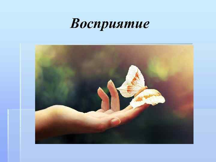 Восприятие 