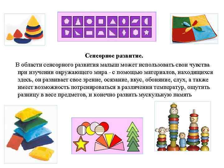       Сенсорное развитие.  В области сенсорного развития малыш