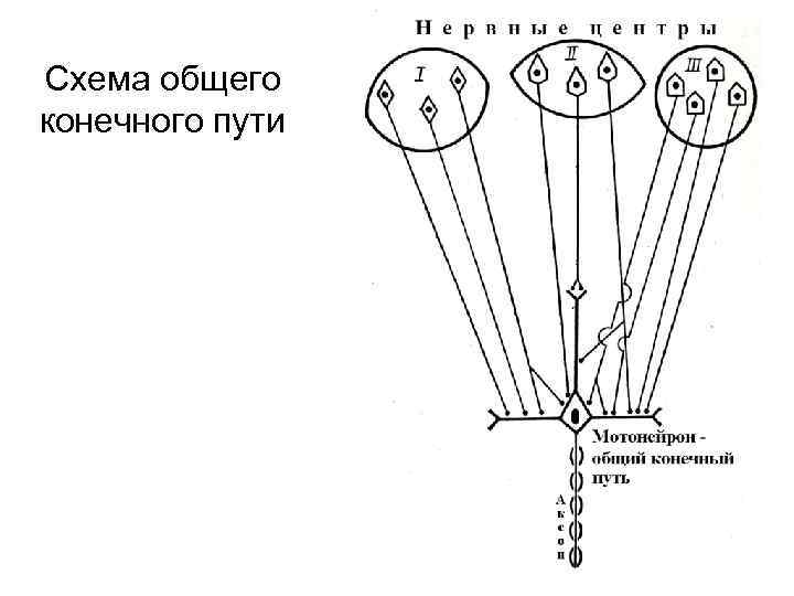 Принцип конечного пути