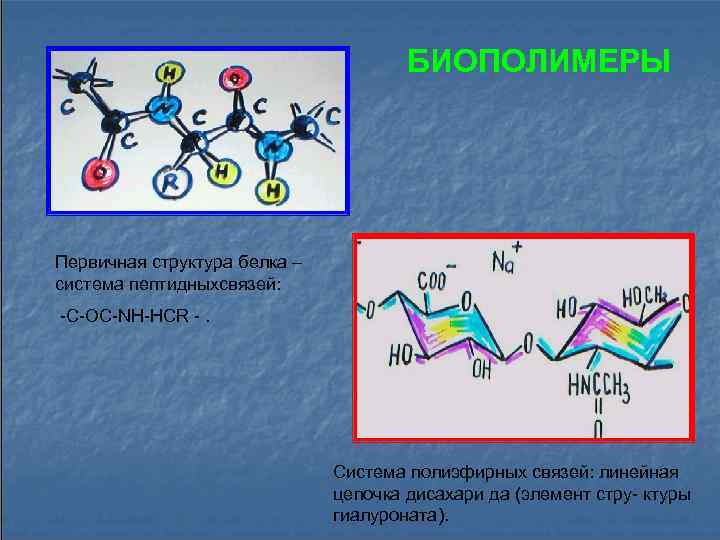 Биополимеры это