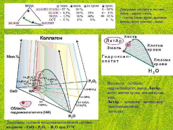      Диаграмма составов в системе     