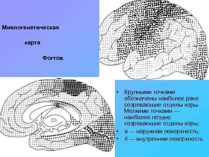 Перечеркнутые изображения нейропсихология