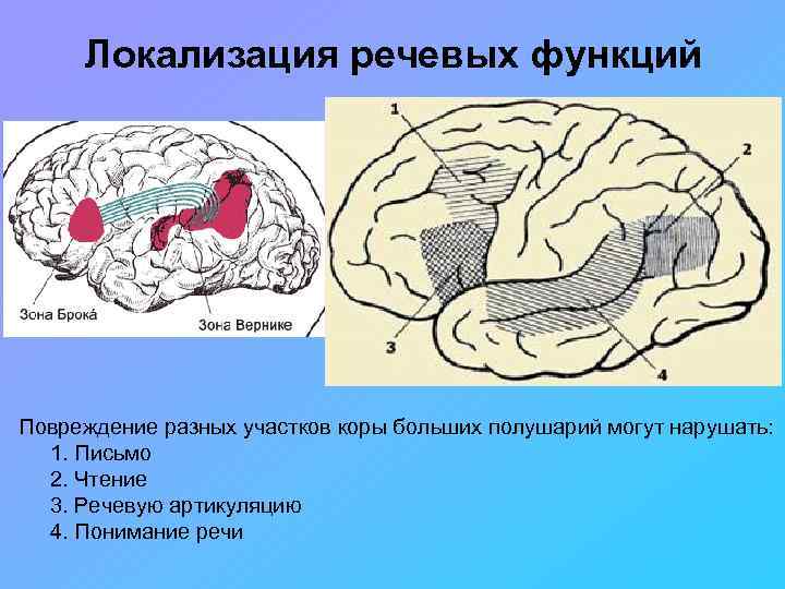 Расстройство полушарий. Локализация речевых функций в коре головного мозга. Локализация психических функций в коре головного мозга. Речевые зоны мозга Брока и Вернике.