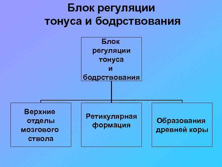 Энергетический блок мозга блок регуляции тонуса и бодрствования презентация