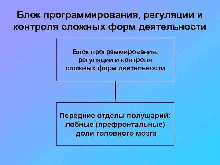  Блок программирования, регуляции и контроля сложных форм деятельности   Блок программирования, 