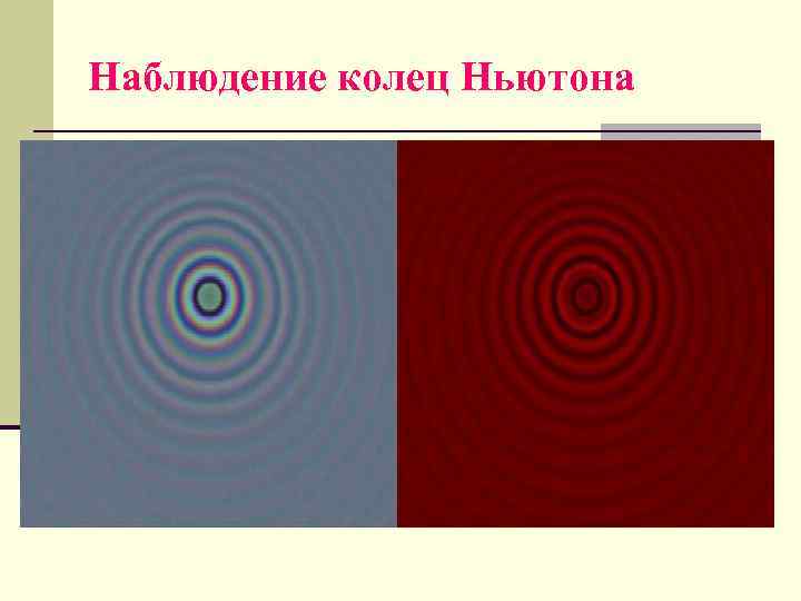 Наблюдение колец Ньютона 