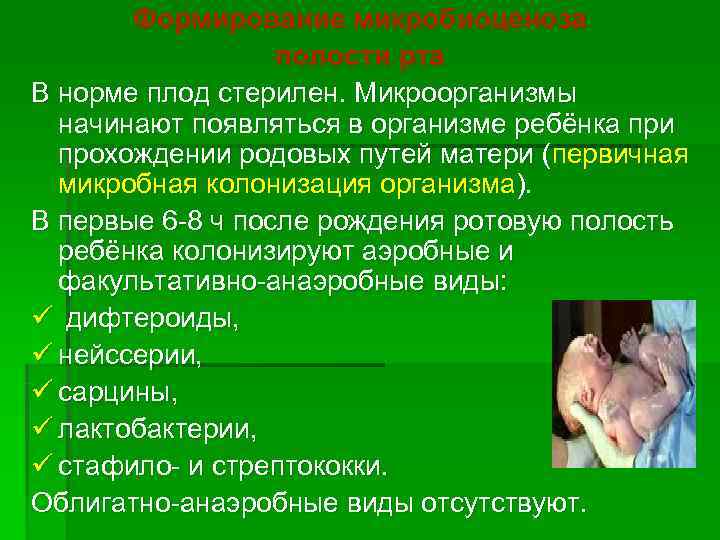   Формирование микробиоценоза    полости рта В норме плод стерилен. Микроорганизмы